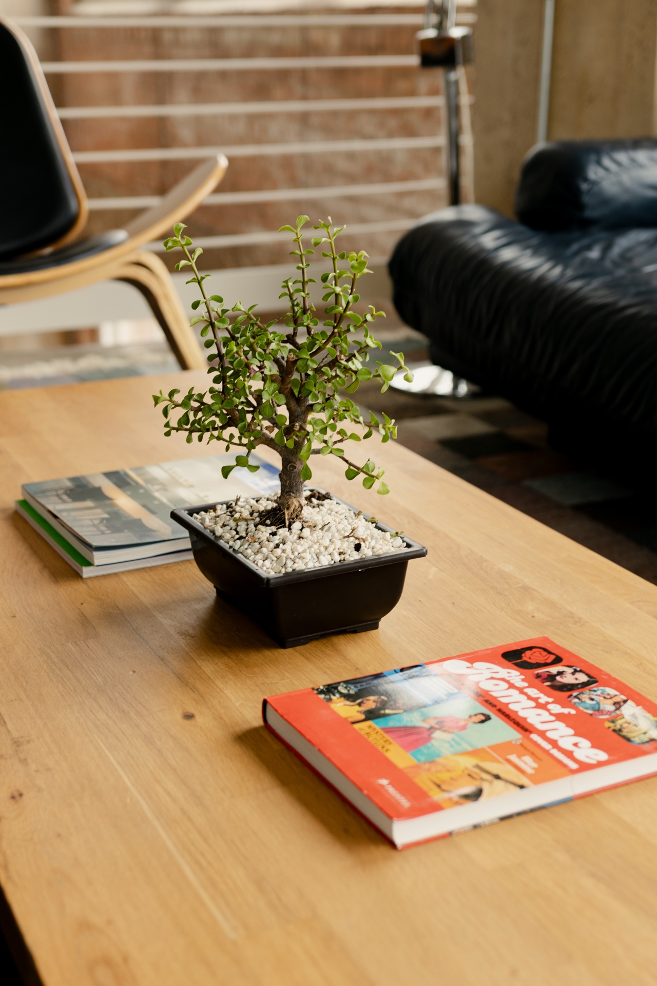 Artcore Studio Dallas — set styling